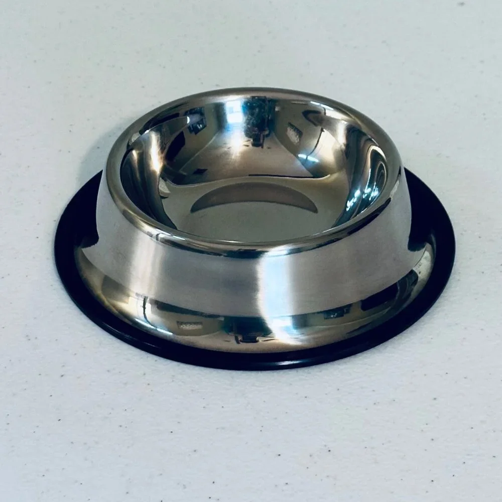 Small Pet Bowl Stainless Steel Cat Food Bowl Water Bowl with Non-Slip Base